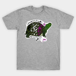 Asexual Pride Turtle T-Shirt